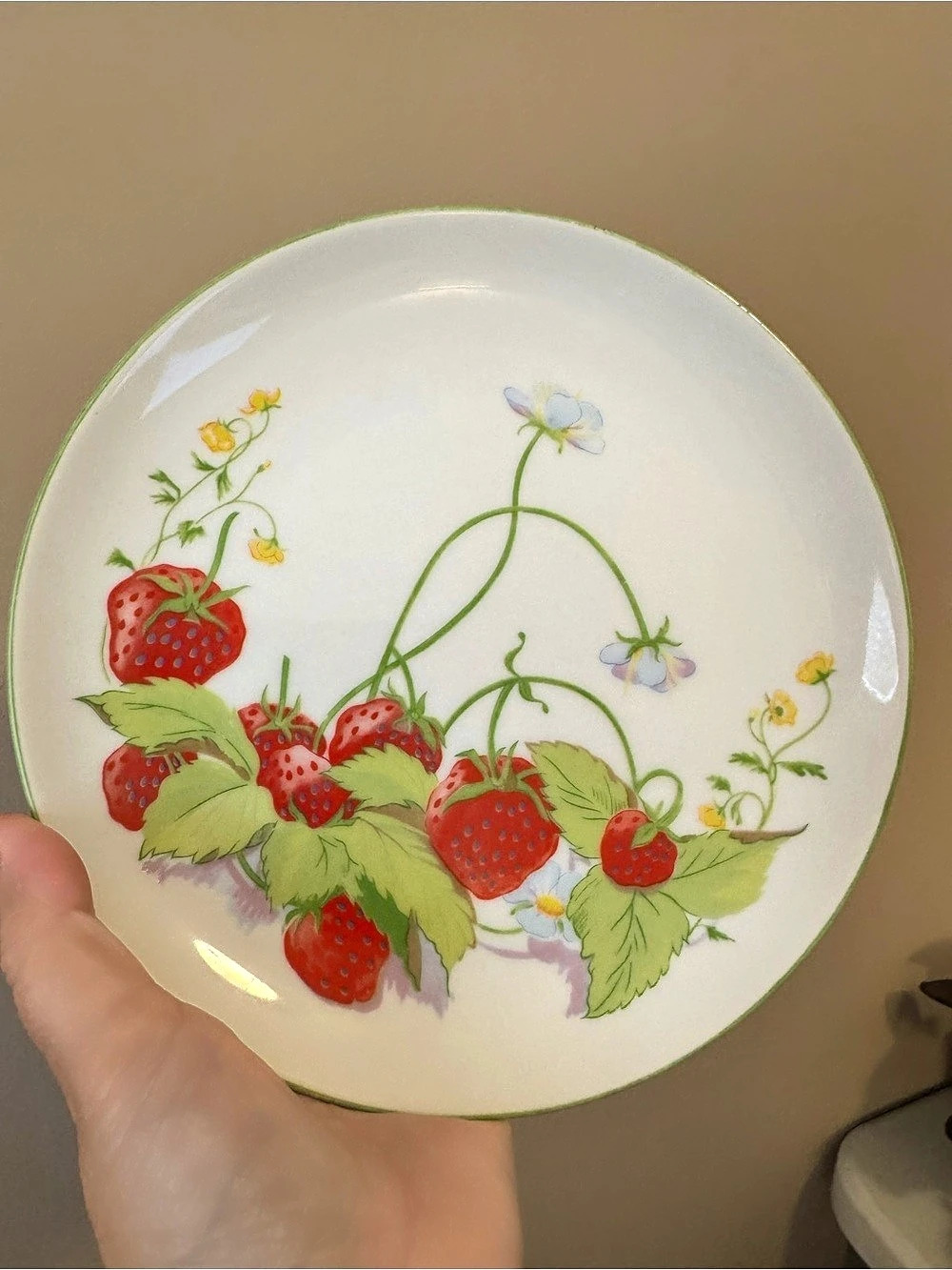 MANN Vintage 1974 Strawberry Hill Fine China Plates Set of 2 Floral